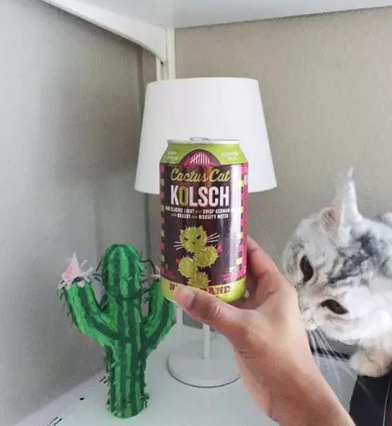 毕业啦！一起喝趴终生难忘的“怪咖”酒！