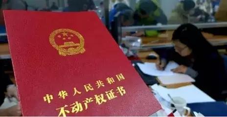 今日上海最新资讯,上海今天的所有新消息