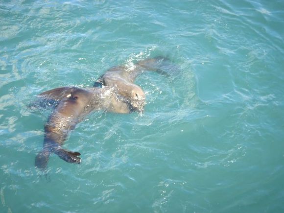 我是远洋渔民，爱钓鱼，更爱周游世界