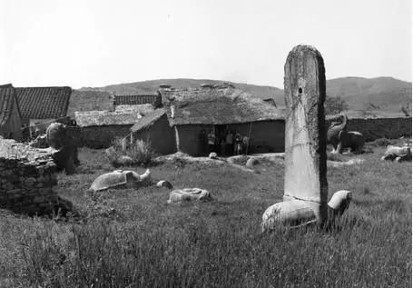 趣知识解读,香烟各种商标图案