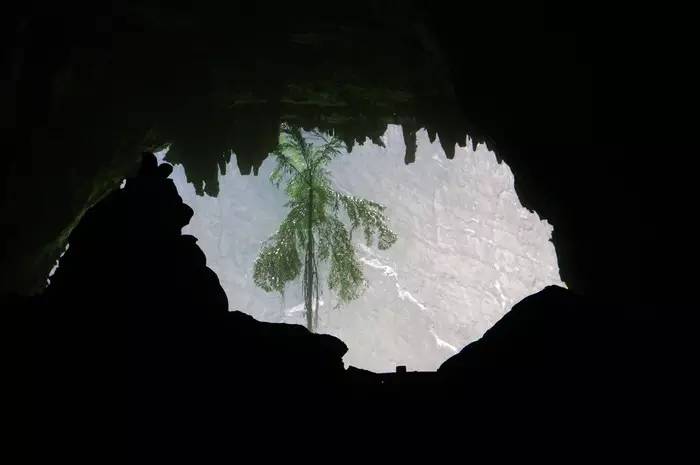 巴马世界旅居圣地,广西巴马长寿圣殿图片