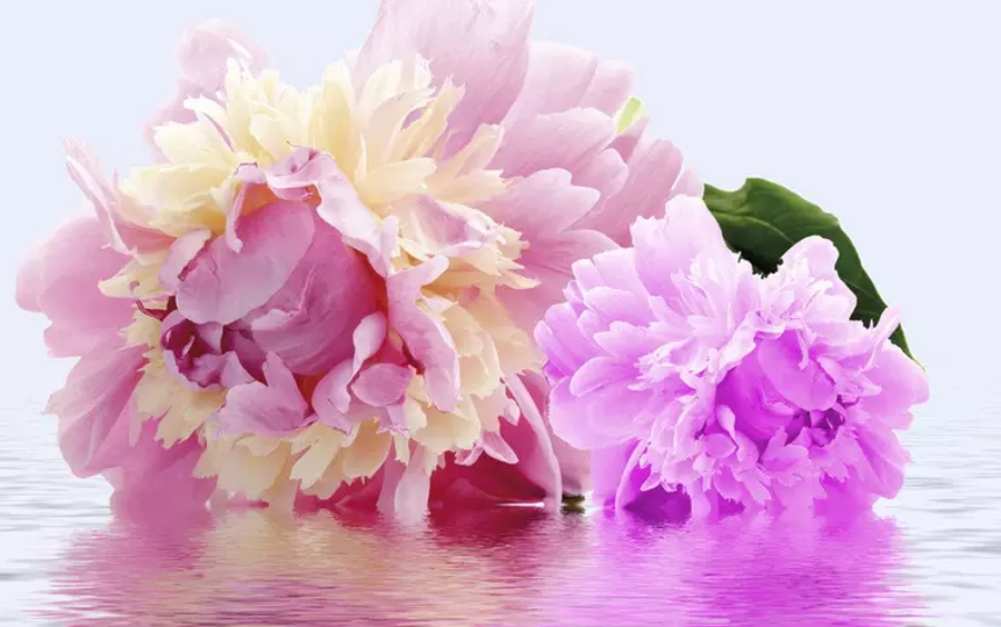 汉字字形字音之美,汉字有字音之美