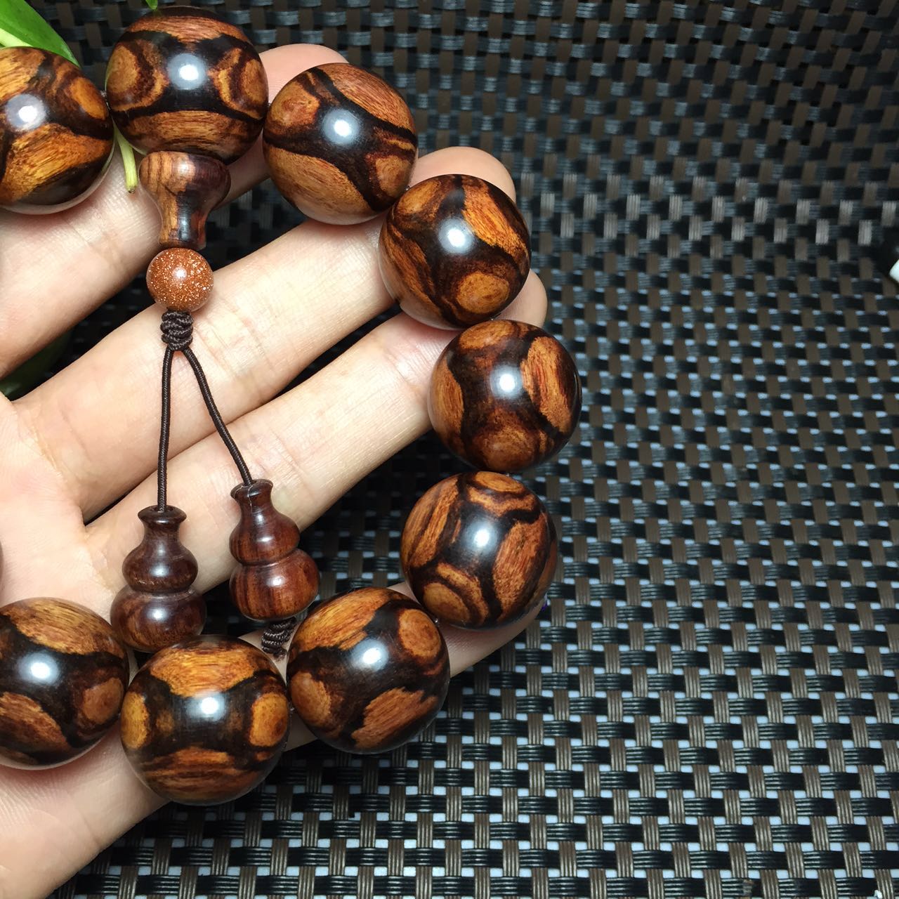 紫檀柳与海黄,紫檀柳对比海黄