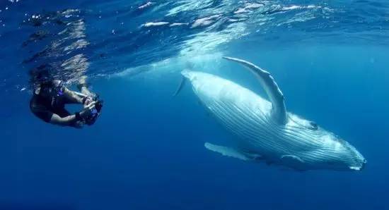 2019年免签落地签,可免签落地签全球187个国家和地区