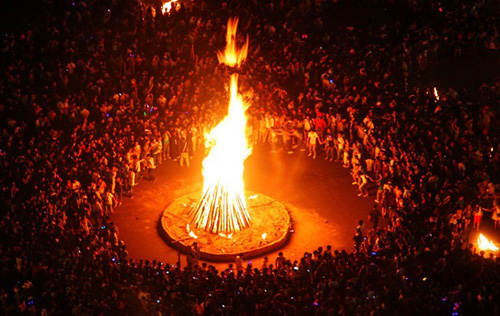 从“狗肉节”到非遗，有关动物使用的伦理困境比比皆是！