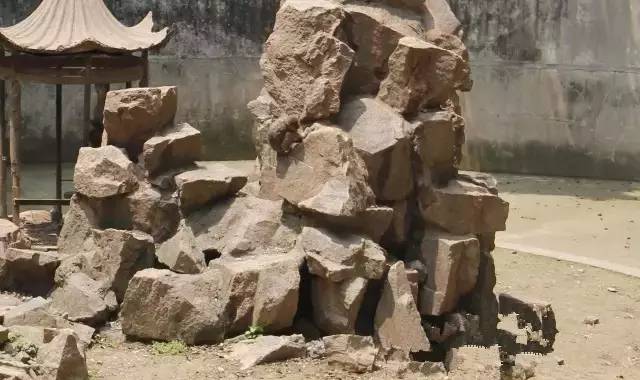 马鞍山雨山湖野生动物园,马鞍山雨山湖动物园白虎