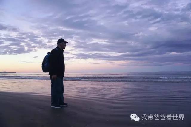 新西兰奇异圆石,摩拉基大圆石龟背形成原因