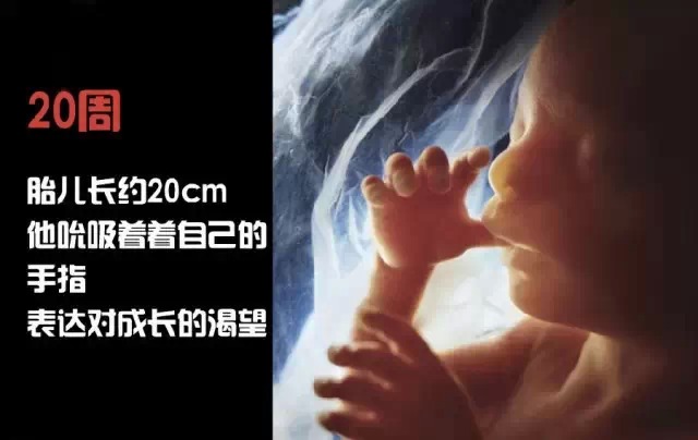 造人计划之前需要做的事,造人计划必须做的事