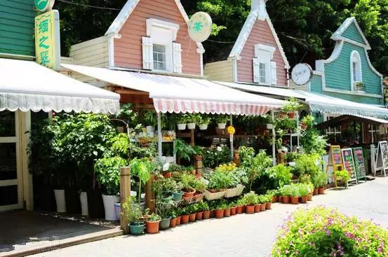 深圳小众游玩圣地,深圳一日游攻略最不值得去的地方