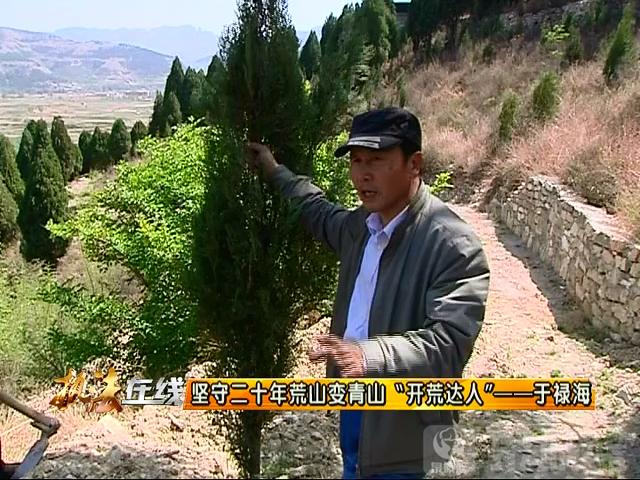 坚守二十年秃山变青山南部山区有个开荒达人于禄海