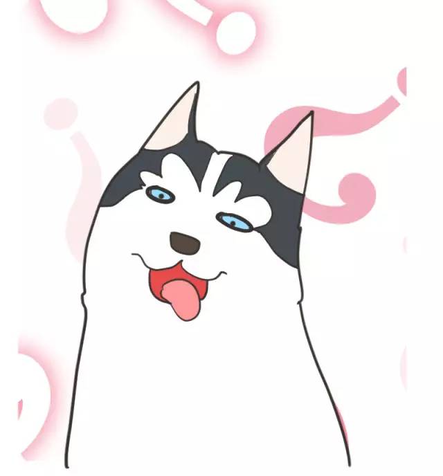 身娇贫乳双马尾，准备好舔屏了吗？！