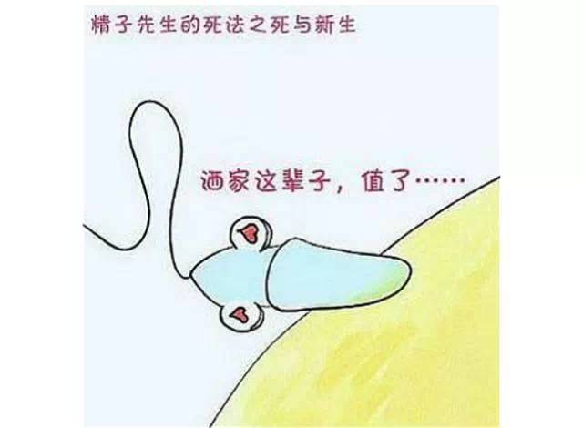 休闲｜爸爸的精子！备孕中的悲欢离合