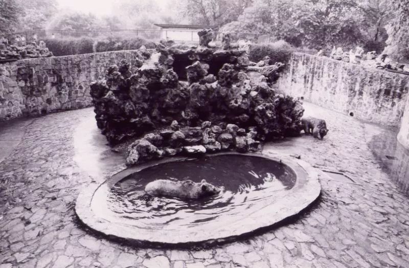 阿拉看环境｜还记得记忆中的西郊公园吗？