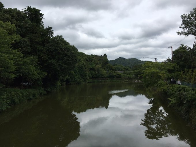 年假连端午，二次进日，关西8日游：京都、岚山（嵯峨野观光小火车、岚电）、奈良、环球影城