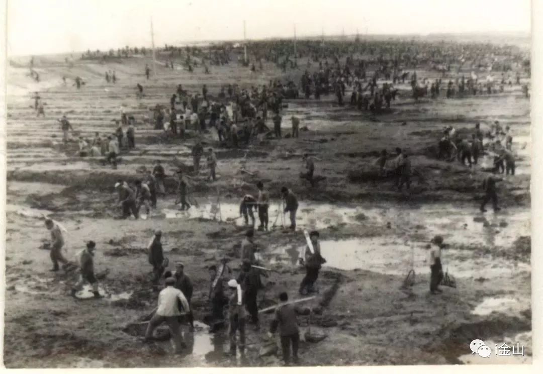 金山围填海最新进度,沿海填海造陆会怎么样