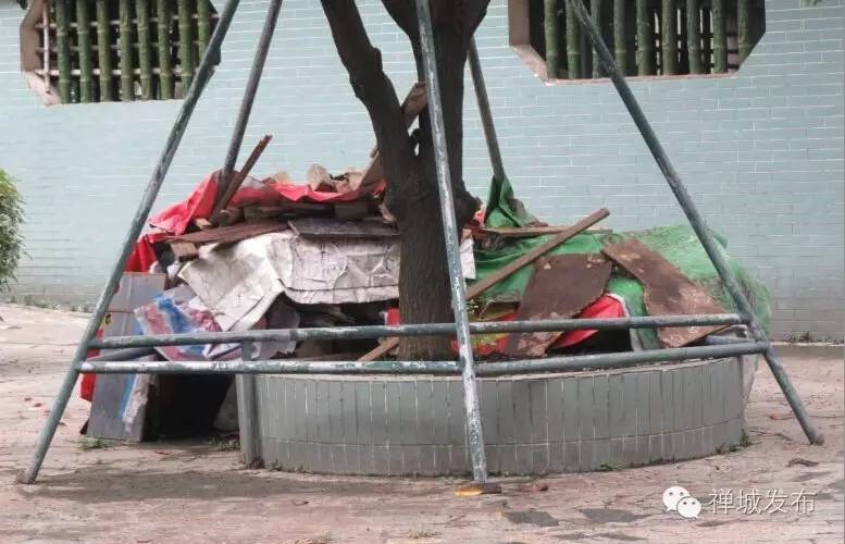 不文明行为曝光第317期,最新29项不文明行为