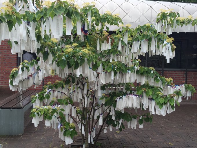 卢森堡比利时瑞士德国地图,荷兰比利时卢森堡德国瑞士旅游