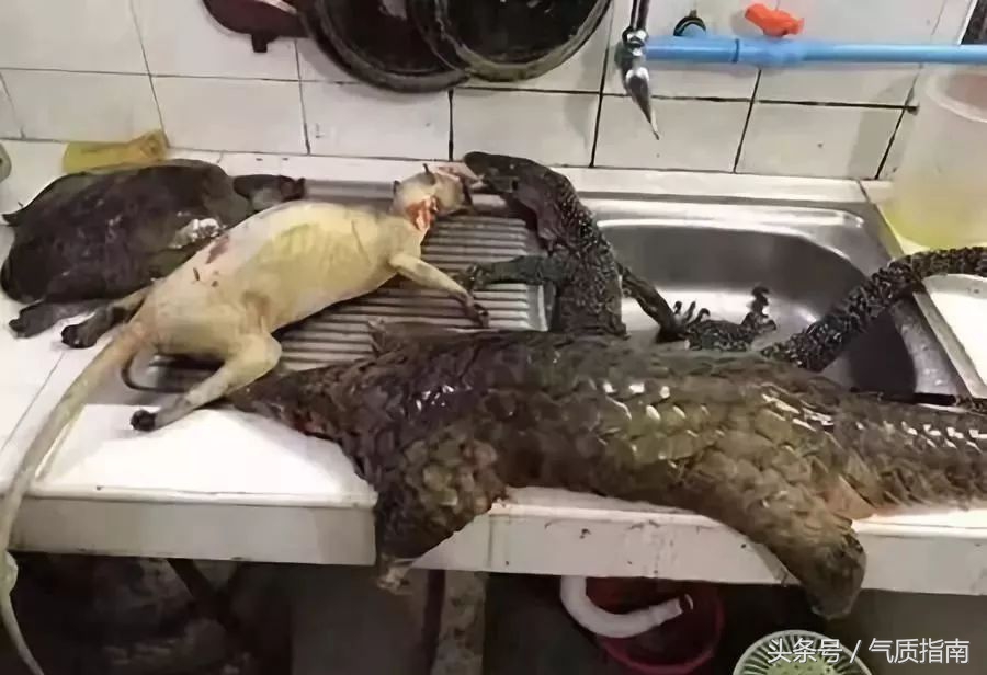 代购骗局朋友圈,朋友圈代购真实案例