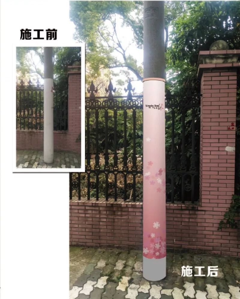 宝山浪漫樱花路图片,宝山樱花路