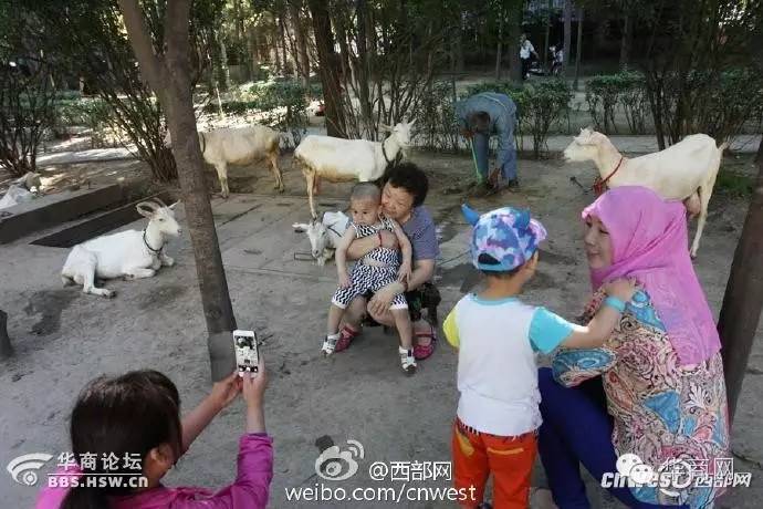 西安一女子遭飞车抢劫,陕西西安女子手机被碾后续