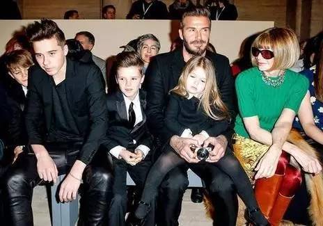 世界之最小公举盘点|波妹夜话