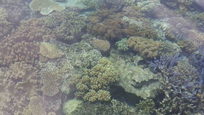 澳大利亚昆士兰自由行攻略,去澳大利亚昆士兰州旅游攻略