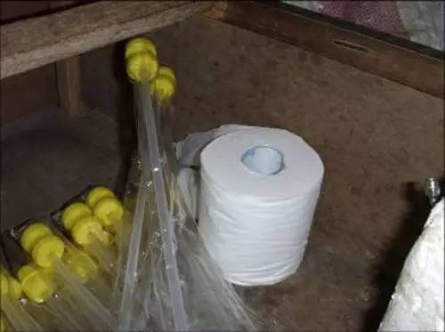 猪人工授精最容易被忽视的细节