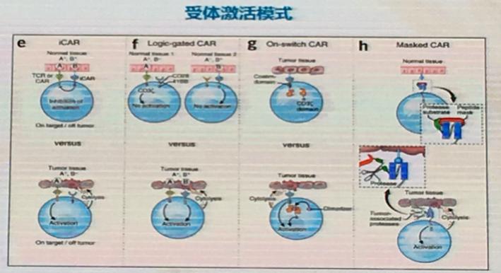博生吉董事长杨林:CAR-T治疗实体肿瘤遭遇困境，CAR-NK或将是破解之道