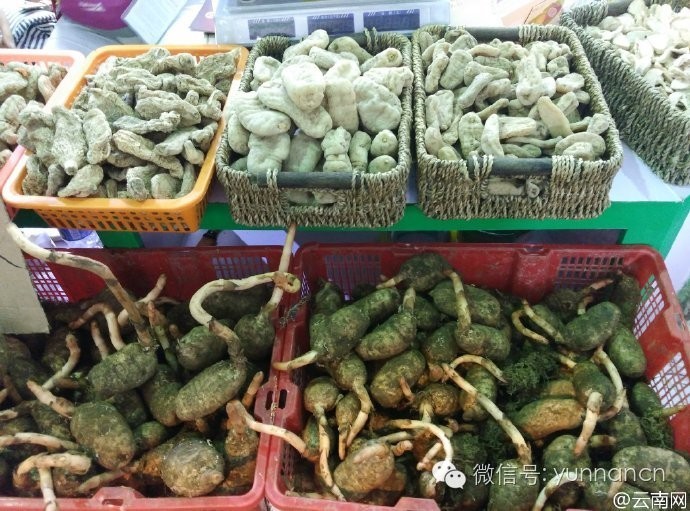 走过路过别错过好吃的美食,走过路过别错过好吃的东西