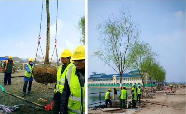 建迪士尼过程,迪士尼建造管理