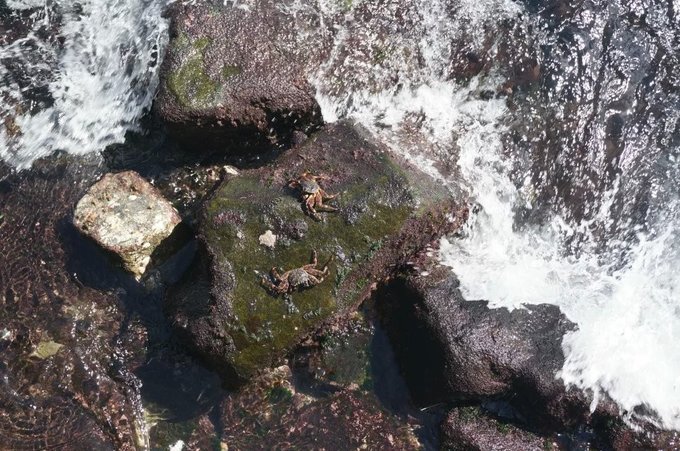 马尔代夫马富施岛,马尔代夫7日游不含机票