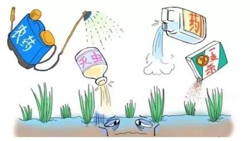 去除蔬果残留农药的方法有哪些,如何去除蔬菜的农药和重金属残留