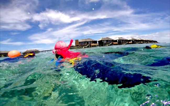 马尔代夫莉莉岛适合几月份去,马尔代夫莉莉岛旅游攻略