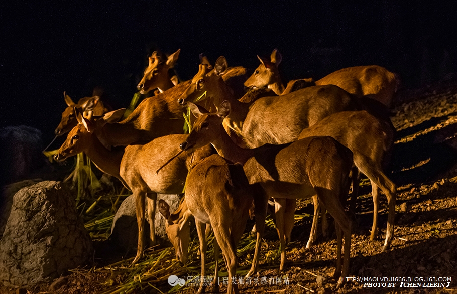 清迈闲游,十一去清迈旅游