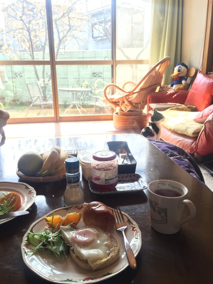 16年,关西(大阪,奈良,京都,宇治)樱花,甲子园