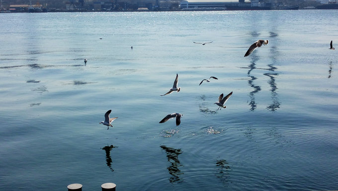 海参崴春节旅游攻略,冬季海参崴旅游攻略必备物品