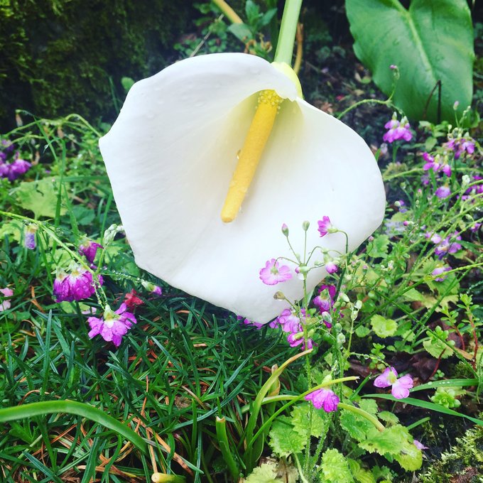 老爸追梦之旅,父亲的圆梦之旅