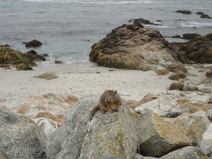 美国1号公路旅游视频,美国1号公路旅游线路