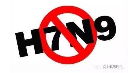 沈阳公积金2021年缴存基数调整 (沈阳市公积金管理中心地址及电话)