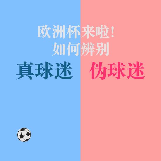 欧洲杯有多少球迷参与过,欧洲杯有多少球迷参与比赛