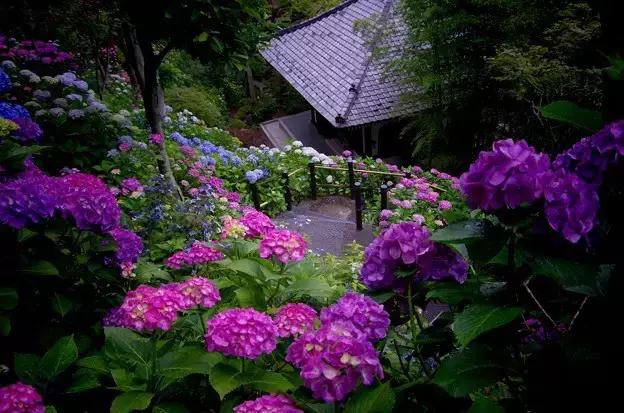 日本姑娘长什么样,想象中的日本是这样的吗