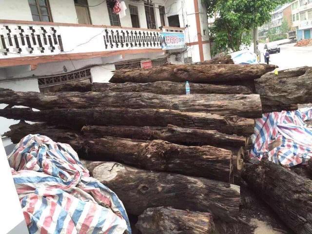 六十年代金丝楠当废品,金丝楠变废为宝