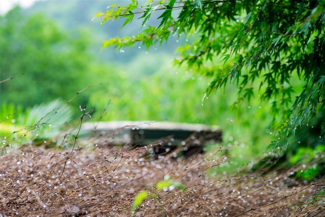 在这座神山中，我们每个人都是武林高手