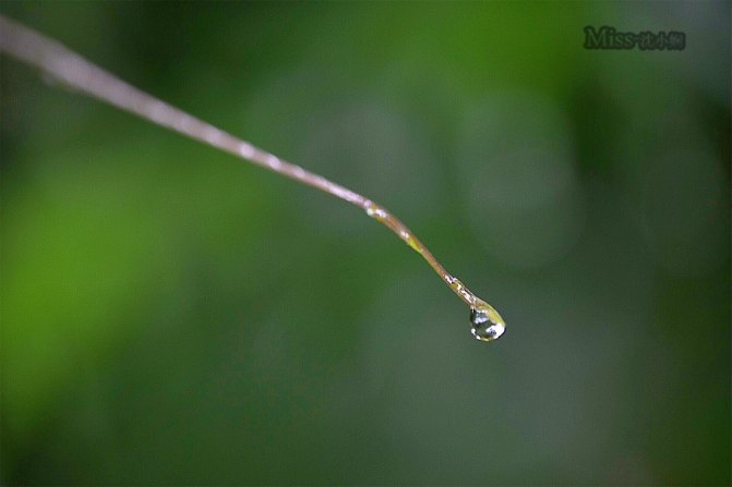 在这座神山中，我们每个人都是武林高手
