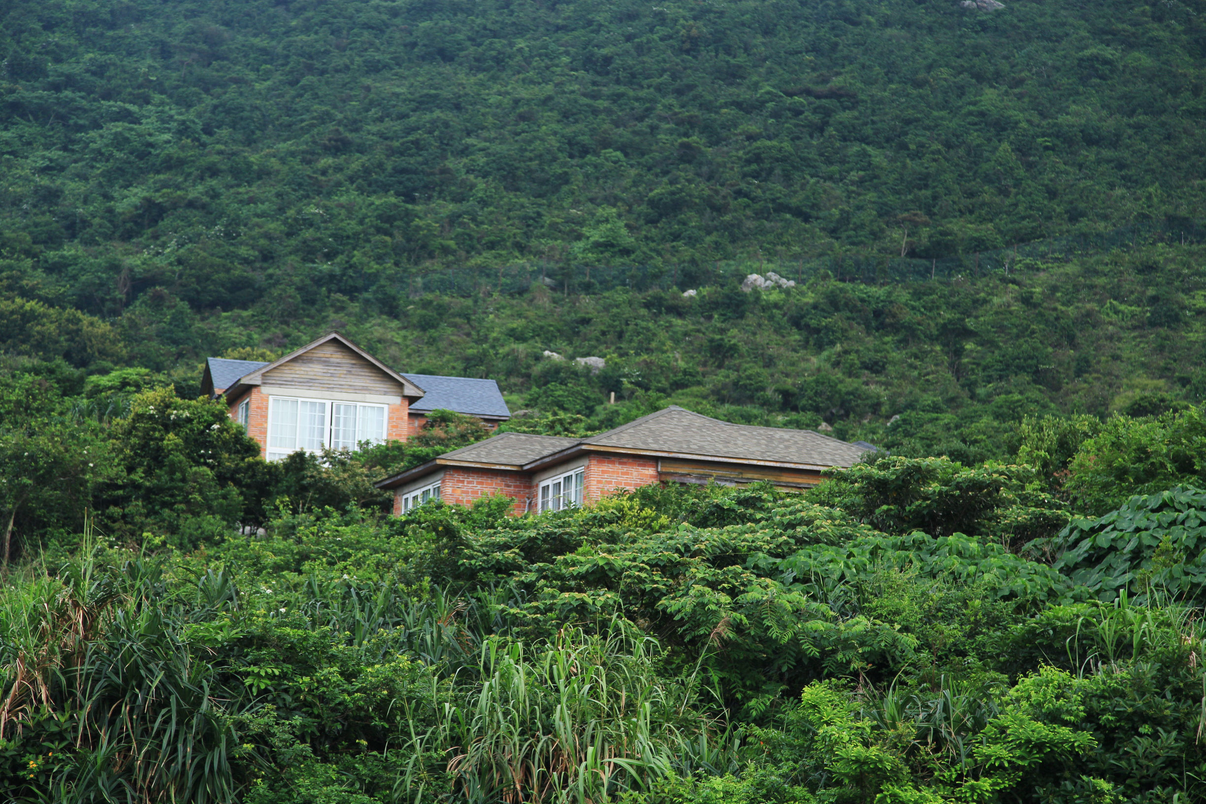 深圳杨梅坑美人鱼,杨梅坑美人鱼拍摄基地真实照片