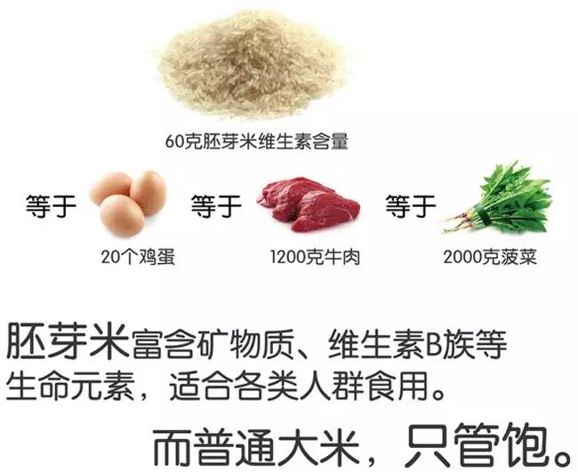 脚气病患者的福音,脚气病日本人