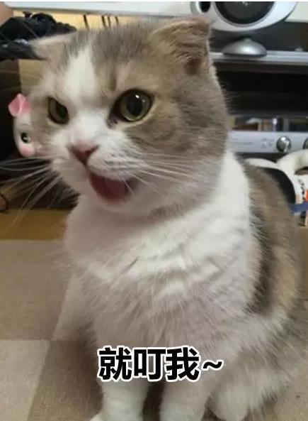 皇上快把臣妾打入冷宫小说,皇上把我打入冷宫吧