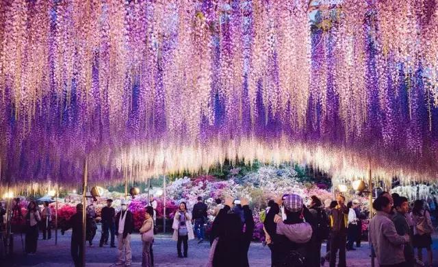 现在的日本是什么样的,现在的日本广岛什么样子