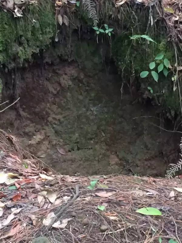 重走滇缅公路视频,纪念抗战胜利78周年重走滇缅公路