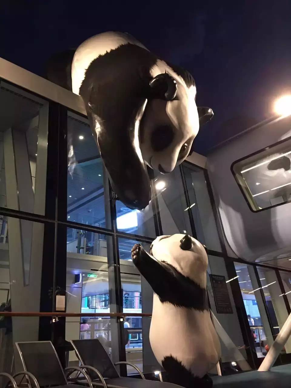 天津港出发的邮轮旅行攻略,天津出发豪华邮轮攻略